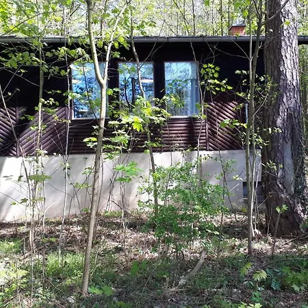 Waldhaus Wiesengrund