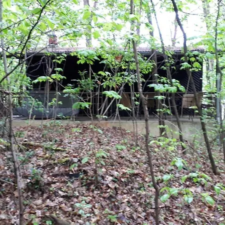 Waldhaus Wiesengrund Ferienhaus *