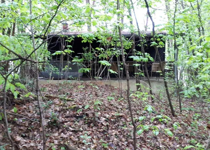 Waldhaus Wiesengrund Feriehus *